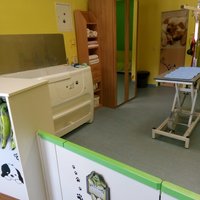 Dogs haircut by sibylle von innen