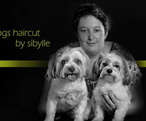 Dogs haircut by sibylle